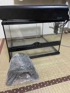 エキゾテラ 453の中古 未使用品を探そう メルカリ