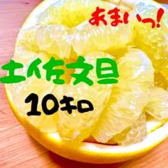 土佐文旦 10kg 212 - メルカリ
