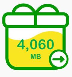 4GB mineo マイネオ パケットギフト