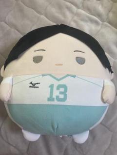 【ハイキュー!!】国見英 ふわコロりん はぐキャラ ぬいぐるみ グッズ-ぬいぐるみ】ハイキュー!! ふわコロりんMsize9 D：国見