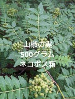 2025年最新】山椒の人気アイテム - メルカリ
