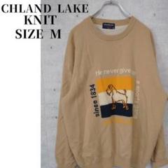 41677 CHLAND LAKEスポーツメンズセーターベージュLL
