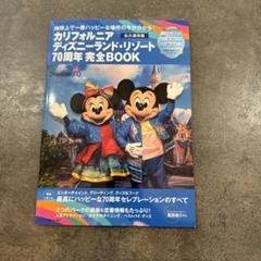 レア アメリカディズニー チケット&ガイドブック 2025年最新】カリフォルニアディズニー ガイドブックの人気