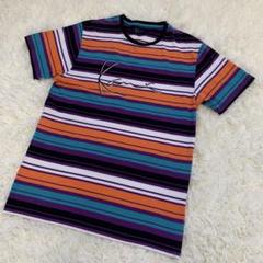 【美品】☆Kaniマルチストライプ Tシャツ マルチカラー　Mサイズボーダー