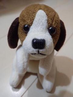 ボブ ビーグル Bob Beagle 犬 ぬいぐるみ ボブ ビーグル Bob Beagle 犬 ぬいぐるみ
