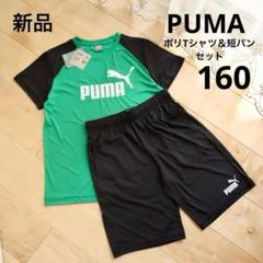 PUMA　プーマ　半袖ポリTシャツ&短パンセット　160　新品　緑　黒