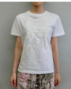 ・*ー様 shury labyrins Dont Cry Horse Tshir Labyrins Dont Cry Horse Tshirt Charcoal | Shury