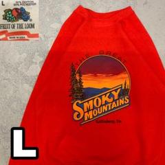 WC534 【90's・USA製】FRUIT OF THE LOOM スウェット