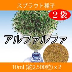 スプラウト種子 S-16 アルファルファ 10ml 約2,500粒 x 2袋