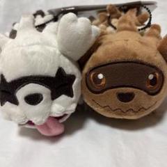 磁石でくっつくペアマスコット にたものどうし ジグザグマ＆ガラルジグザグマ 磁石でくっつくペアマスコット にたものどうし ジグザグマ＆ガラ
