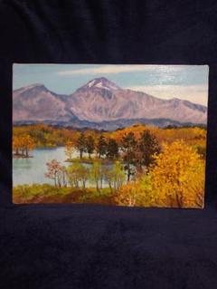 ☆高橋哲夫☆「岩木山 」油絵F4号新品額！