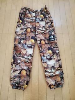 Supreme×Tnf Leaves Nuptse DownPants