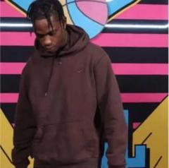 入手困難 NIKE ブラウン シャドーロゴ パーカー Travis scott