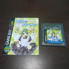 【ソフト・説明書のみ】てじこの麻雀パーティ ゲームボーイカラー