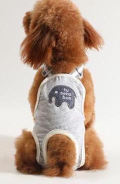 犬用おむつカバー女の子の中古 未使用品を探そう メルカリ 犬用おむつカバー女の子の中古 未使用品を探そう メルカリ