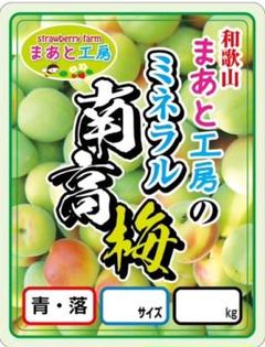 ⭐じゅんママ⭐夕方発送・ミネラル南高梅(完熟落ち梅)10㎏　収穫次第発送 ⭐じゅんママ様専用⭐夕方発送・ミネラル南高梅(完熟落ち梅)10