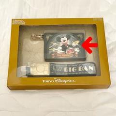 ディズニー　ディズニーシー　ビッグバンドビート　BBB　パスケース　ファンダフル