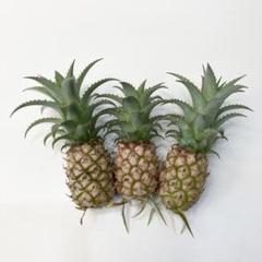 花パインの中古 未使用品 メルカリ