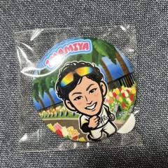 大学 兄弟割引 缶バッジ 若鷹ガチャ 今宮健太 メルカリ - 記念グッズ