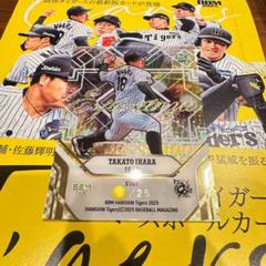 レア☆当時もの タイガースの人 タイガース シリアルナンバー入り 限定品 風が出るウェア 男女