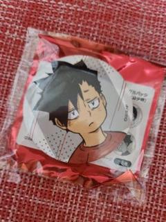 ハイキュー！！黒尾幼少期缶バッジ計１６点 ハイキュー!! 黒尾鉄朗 幼少期 缶バッジ 全種類セット - メルカリ