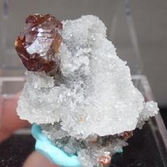 m32291956023_1.jpg?1729000143