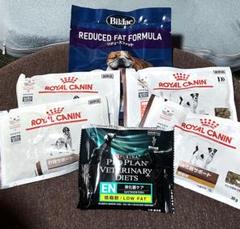  CANIN 消化器サポート 2kg消化ケア試供品20gも付き ROYAL CANIN 消化器サポート 2kg×2袋