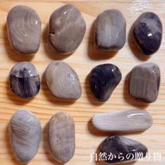 m32316161098_1.jpg?1678815315