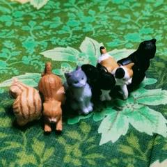 超リアル猫！✨MIDORI✨ネコ♡強力ミニマグネット ✨魅惑の６種猫セット✨