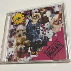 2025年最新】dog intheの人気アイテム - メルカリ