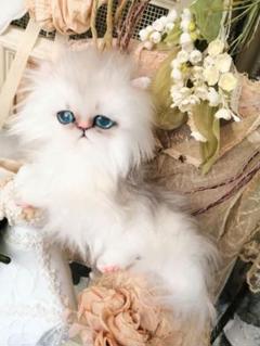 おしゃぶり♡お腹ぽっこり♡子猫ちゃん♡アートドール♡ぬいぐるみ♡スタイ♡ Yahoo!オークション - DOLK ×Floral Garden ×ふにゃほわ