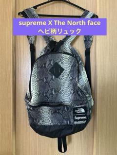 THE NORTH FACE × Supreme ヘビ柄バックパック THE NORTH FACE × Supreme ヘビ柄バックパック リュック - メルカリ