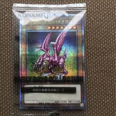 2025年最新】遊戯王 ホーリーナイトドラゴン シークレットの人気