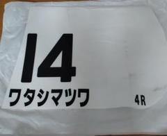 実使用ゼッケン