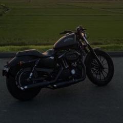 Harley Davidson Xl883n アイアン ハーレー スポーツスター