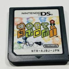 咲かせて! ちびロボ　(Nintendo DS)