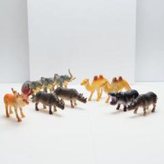 アニマル 動物 ミニチュア フィギュア まとめ売り 10体セット