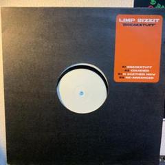 2025年最新】limp bizkit レコードの人気アイテム - メルカリ