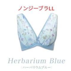 2025年最新】ノンジーブラllの人気アイテム - メルカリ