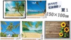 夏①】うちフォト　壁　記念　人気　海　犬　ベビー　背景布　サマー　写真撮影　自宅