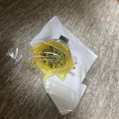 有栖川帝統 リングライト まとめ売り 有栖川帝統 リングライト まとめ売り - メルカリ
