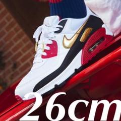 ラスト一点‼︎ 完売モデル 26cm チャイニーズニューイヤー airmax