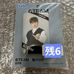 &team cafe カフェ　缶バッジ　ハルア　アクスタ　HARUA &TEAM CAFE ハルア HARUA アクリルスタンド 缶バッジ2点セット