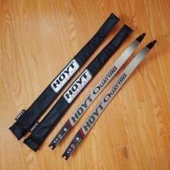 2025年最新】hoyt フォーミュラの人気アイテム - メルカリ