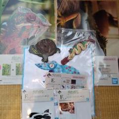 一番くじ爬虫類＆両生類　まとめ売り