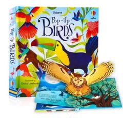 Usborne Pop-Up 7冊 セット 英語絵本 しかけ絵本 洋書 Usborne Pop-Up 7冊 セット 英語絵本 しかけ絵本 洋書 洋書