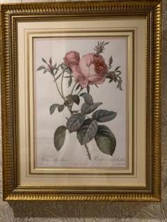 【期間限定！最安値挑戦】 ルドゥーテ 額絵 特別豪華額装版 複製画 フォリアケア 大 絵画