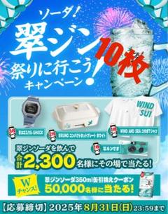 新品未開封 翠 ジンソーダ 提灯 3個セット 2025年最新】翠ジンの人気アイテム - メルカリ