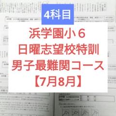 浜学園　最難関中突破　日曜練成特訓（入試実践講座）中学受験　全部10冊 2025年最新】浜学園 最難関の人気アイテム - メルカリ