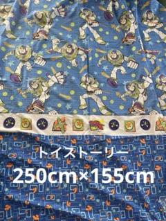 ディズニー トイストーリー 新品 アメリカ ヴィンテージ シーツ ベッド カバー